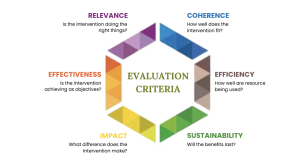 What Makes a High-Impact NGO?